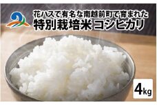 【先行予約】令和7年度産 新米 特別栽培米 コシヒカリ 4kg【11月上旬より順次発送】
