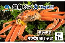 【先行予約】【年末お届け予定】越前がに 大 （1kg以上） 1杯 ズワイガニ ずわいがに ズワイ蟹 越前ガニ ボイル 刺身 蟹 鍋 しゃぶしゃぶ 冷蔵  カニ 鍋 冬 海鮮 かに 国産 南越前町 福井県　送料無料