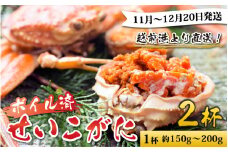 【先行予約】越前港より直送！ せいこがに（約150～200g）2杯※発送前に在宅確認の電話連絡をいたします!【11月～12月20日発送予定】 セイコガニ せいこ蟹 セコガニ 雌 ずわいがに せいこがに かにみそ カニ味噌 越前ガニ ボイル 刺身 蟹 鍋 しゃぶしゃぶ 冷蔵 カニ 鍋 海鮮 かに 国産 南越前町 送料無料
