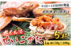 【先行予約】越前港より直送！ せいこがに（約150～200g）5杯※発送前に在宅確認の電話連絡をいたします!【11月～12月20日発送予定】 セイコガニ せいこ蟹 セコガニ 雌 ずわいがに せいこがに かにみそ カニ味噌 越前ガニ ボイル 刺身 蟹 鍋 しゃぶしゃぶ 冷蔵 カニ 鍋 海鮮 かに 国産 南越前町 送料無料