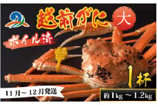 【先行予約】越前港より直送！ 越前がに 大 (約1kg～1.2kg) 1杯※発送前に在宅確認の電話連絡をいたします!【11月～12月発送予定】 ズワイガニ ずわいがに ズワイ蟹 越前ガニ ボイル 刺身 蟹 鍋 しゃぶしゃぶ 冷蔵  カニ 鍋 海鮮 かに福井県 南越前町 送料無料