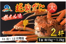 【先行予約】越前港より直送！ 越前がに 大 (約1kg～1.2kg) 2杯  ※発送前に在宅確認の電話連絡をいたします!【11月～12月発送予定】 ズワイガニ ずわいがに ズワイ蟹 越前ガニ ボイル 刺身 蟹 鍋 しゃぶしゃぶ 冷蔵  カニ 鍋 海鮮 かに福井県 南越前町 送料無料