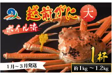 【先行予約】越前港より直送！ 越前がに 大 (約1kg～1.2kg) 1杯 ※発送前に在宅確認の電話連絡をいたします!【1月～3月発送予定】 ズワイガニ ずわいがに ズワイ蟹 越前ガニ ボイル 刺身 蟹 鍋 しゃぶしゃぶ 冷蔵  カニ 鍋 海鮮 かに福井県 南越前町 送料無料