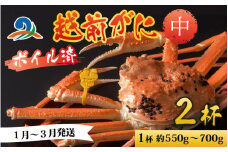 【先行予約】越前港より直送！ 越前がに 中 (約550g～700g) 2杯※発送前に在宅確認の電話連絡をいたします! 【1月～3月発送予定】 ズワイガニ ずわいがに ズワイ蟹 越前ガニ ボイル 刺身 蟹 鍋 しゃぶしゃぶ 冷蔵  カニ 鍋 海鮮 かに福井県 南越前町 送料無料
