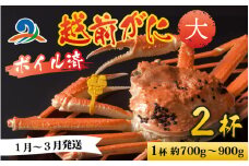 【先行予約】越前港より直送！ 越前がに 大 (約700g～900g) 2杯 ※発送前に在宅確認の電話連絡をいたします!【1月～3月発送予定】 ズワイガニ ずわいがに ズワイ蟹 越前ガニ ボイル 刺身 蟹 鍋 しゃぶしゃぶ 冷蔵  カニ 鍋 海鮮 かに福井県 南越前町 送料無料