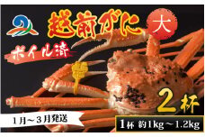 【先行予約】越前港より直送！ 越前がに 大 (約1kg～1.2kg) 2杯 ※発送前に在宅確認の電話連絡をいたします!【1月～3月発送予定】 ズワイガニ ずわいがに ズワイ蟹 越前ガニ ボイル 刺身 蟹 鍋 しゃぶしゃぶ 冷蔵  カニ 鍋 海鮮 かに福井県 南越前町 送料無料