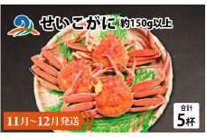 【先行予約】せいこがに 約150g以上×5杯【11月～12月発送】