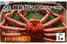 【先行予約】越前がに 中 (約550g～700g)×1杯【1月～3月発送】