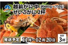 【先行予約】越前がに 中 （約600g～750g） 1杯 ・せいこがに 2杯 計３杯【11月～12月20日発送予定】セイコガニ せいこ蟹 セコガニ 雌 ずわいがに せいこがに かにみそ カニ味噌 越前ガニ  ボイル 刺身 蟹 鍋 しゃぶしゃぶ 冷蔵 カニ 海鮮 かに 国産 南越前町 福井県　送料無料
