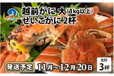 【先行予約】越前がに 大 （1kg以上） 1杯 ・せいこがに 2杯【2025年11月中旬より順次発送】セイコガニ せいこ蟹 セコガニ 雌 ずわいがに せいこがに かにみそ カニ味噌 越前ガニ  ボイル 刺身 蟹 鍋 しゃぶしゃぶ 冷蔵 カニ 海鮮 かに 国産 南越前町 福井県　送料無料