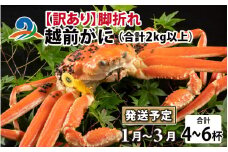 【先行予約】【訳あり】越前がに 4～6杯 （合計2kg以上） 脚折れ【2026年1月～3月発送】 ズワイガニ ずわいがに ズワイ蟹 越前ガニ ボイル 刺身 蟹 鍋 しゃぶしゃぶ 冷蔵  カニ 鍋 冬 海鮮 かに 国産 南越前町 福井県　送料無料