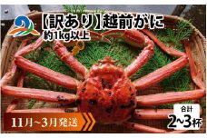 【先行予約】【訳あり】 越前がに 合計1kg以上（2～3杯）【11月～3月発送】