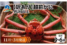 【先行予約】【訳あり】 越前がに 合計2kg以上（3～6杯）【11月～3月発送】