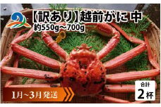 【先行予約】【訳あり】 越前がに 中 (約550g～700g)×2杯【1月～3月発送】