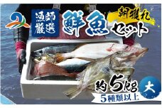 【朝獲り】漁師厳選 鮮魚セット (大) 5種類以上 約5kg 魚 詰め合わせ 新鮮 煮物 焼き物 お造り 刺身 晩酌 食卓 BBQ 急速冷凍 真空パック 鮮魚セット 詰合せ 鮮魚店 厳選 お任せ 鮮度 産直 海鮮 加熱用 福井県 南越前町 越前 盛り合わせ おまかせ お楽しみ おつまみ おかず ご飯のお供 送料無料
