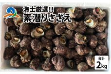 【海士厳選】素潜りさざえ2.0kg／ さざえ 生 つぼ焼き お刺身 海鮮BBQ 海鮮バーベキューセット bbq バーベキュー 貝 ギフト 海鮮 贈り物 誕生日 プレゼント 贈答 海鮮 お取り寄せ 冷蔵 お中元 お歳暮 産地直送 海直送 送料無料