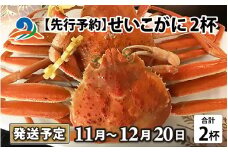 【先行予約】せいこがに 2杯【2025年11月中旬より順次発送】セイコガニ せいこ蟹 セコガニ 雌 ずわいがに せいこがに かにみそ カニ味噌 越前ガニ  ボイル 刺身 蟹 鍋 しゃぶしゃぶ 冷蔵 カニ 海鮮 かに 国産 南越前町 福井県　送料無料