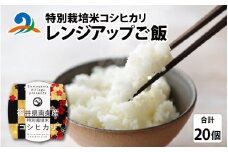 南条産コシヒカリで作ったレンジアップご飯｜ 非常食 防災 防災グッズ 国産 米 コシヒカリ レンジアップ パックごはん 南越前町 食品 送料無料