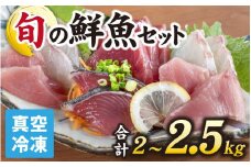【日本海鮮魚】漁師厳選鮮魚真空冷凍セット　約2g～2.5kg(4種以上)／ 魚 詰め合わせ 新鮮 煮物 焼き物 お造り 刺身 晩酌 食卓 BBQ  急速冷凍 真空パック 鮮魚セット 詰合せ 鮮魚店 厳選 お任せ 鮮度 産直 海鮮 加熱用 冷凍保存 福井県 南越前町 越前 送料無料