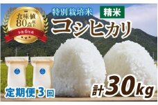 【先行予約】【3ヶ月連続お届け】【令和7年産】南条米 新米 特別栽培米コシヒカリ 精米 真空パック 10kg(5kg×2袋)×3ヶ月 (計30kg)【10月上旬より順次発送】｜ お米の定期便