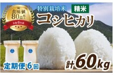 【先行予約】【6ヶ月連続お届け】【令和7年産】南条米 新米 特別栽培米コシヒカリ 真空パック 精米 10kg(5kg×2袋)×6ヶ月 (計60kg) 精米【10月上旬より順次発送】｜ お米の定期便