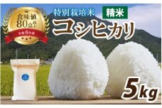 【先行予約】【令和7年産】南条米 新米 特別栽培米コシヒカリ 真空パック 精米 5kg【10月上旬以降より順次発送】