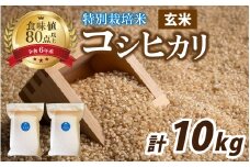 【先行予約】【 令和7年産 新米 】南条米 特別栽培米コシヒカリ 真空パック 玄米 10kg(5kg×2袋)【10月上旬より順次発送】