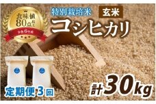 【先行予約】【3ヶ月連続お届け】【 令和7年産 新米 】南条米 新米 特別栽培米コシヒカリ 真空パック 玄米 10kg(5kg×2袋)×3ヶ月 (計30kg)【10月上旬より順次発送】｜ お米の定期便