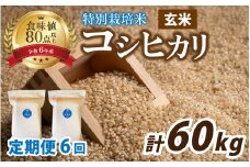 【先行予約】【6ヶ月連続お届け】【 令和7年産 新米 】南条米 新米 特別栽培米コシヒカリ 真空パック 玄米 10kg(5kg×2袋)×6ヶ月 (計60kg)【10月上旬より順次発送】｜ お米の定期便