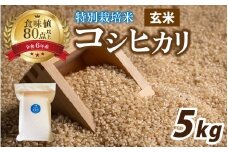 【先行予約】【 令和7年産 新米 】南条米 特別栽培米コシヒカリ 真空パック 玄米5kg【10月上旬以降より順次発送】