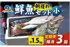 【定期便　隔月３回】【朝獲り】漁師厳選 鮮魚セット (小) 3種類以上 約1.5kg 魚 詰め合わせ  鮮魚ボックス  直送  鮮魚 新鮮 煮物 焼き物 お造り 刺身 晩酌 頒布会 BBQ 急速冷凍 真空パック 鮮魚セット 詰合せ 鮮魚店 厳選 お任せ 鮮度 産直 海鮮 加熱用 福井県 南越前町 越前 盛り合わせ おまかせ お楽しみ おつまみ おかず 送料無料  さへい 河野 越前 北陸