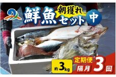 【定期便　隔月３回】【朝獲り】漁師厳選 鮮魚セット (中) 4種類以上 約3kg 魚 詰め合わせ 新鮮 煮物 焼き物 お造り 刺身 晩酌 食卓 BBQ 急速冷凍 真空パック 鮮魚セット 詰合せ 鮮魚店 厳選 お任せ 鮮度 産直 海鮮 加熱用 福井県 南越前町 越前 盛り合わせ おまかせ お楽しみ おつまみ おかず ご飯のお供 送料無料 