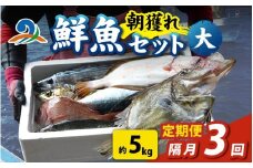【定期便　隔月３回】【朝獲り】漁師厳選 鮮魚セット (大) 5種類以上 約5kg 魚 詰め合わせ 新鮮 煮物 焼き物 お造り 刺身 晩酌 食卓 BBQ 急速冷凍 真空パック 鮮魚セット 詰合せ 鮮魚店 厳選 お任せ 鮮度 産直 海鮮 加熱用 福井県 南越前町 越前 盛り合わせ おまかせ お楽しみ おつまみ おかず ご飯のお供 送料無料 