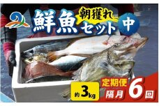 【定期便　隔月６回】【朝獲り】漁師厳選 鮮魚セット (中) 4種類以上 約3kg 魚 詰め合わせ 新鮮 煮物 焼き物 お造り 刺身 晩酌 食卓 BBQ 急速冷凍 真空パック 鮮魚セット 詰合せ 鮮魚店 厳選 お任せ 鮮度 産直 海鮮 加熱用 福井県 南越前町 越前 盛り合わせ おまかせ お楽しみ おつまみ おかず ご飯のお供 送料無料 
