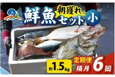 【定期便　隔月６回】【朝獲り】漁師厳選 鮮魚セット (小) 3種類以上 約1.5kg 魚 詰め合わせ 新鮮 煮物 焼き物 お造り 刺身 晩酌 食卓 BBQ 急速冷凍 真空パック 鮮魚セット 詰合せ 鮮魚店 厳選 お任せ 鮮度 産直 海鮮 加熱用 福井県 南越前町 越前 盛り合わせ おまかせ お楽しみ おつまみ おかず ご飯のお供 送料無料 