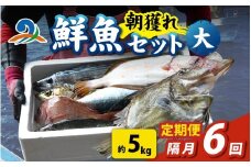 【定期便　隔月６回】【朝獲り】漁師厳選 鮮魚セット (大) 5種類以上 約5kg 魚 詰め合わせ 新鮮 煮物 焼き物 お造り 刺身 晩酌 食卓 BBQ 急速冷凍 真空パック 鮮魚セット 詰合せ 鮮魚店 厳選 お任せ 鮮度 産直 海鮮 加熱用 福井県 南越前町 越前 盛り合わせ おまかせ お楽しみ おつまみ おかず ご飯のお供 送料無料 