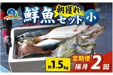 【定期便　隔月２回】【朝獲り】漁師厳選 鮮魚セット (小) 3種類以上 約1.5kg 魚 詰め合わせ 新鮮 煮物 焼き物 お造り 刺身 晩酌 食卓 BBQ 急速冷凍 真空パック 鮮魚セット 詰合せ 鮮魚店 厳選 お任せ 鮮度 産直 海鮮 加熱用 福井県 南越前町 越前 盛り合わせ おまかせ お楽しみ おつまみ おかず ご飯のお供 送料無料 