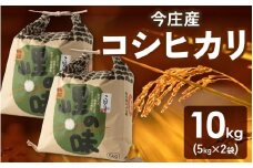 【先行予約】【令和7年産】朝夕の寒暖差が生む極旨のお米 今庄産 コシヒカリ 10kg(5kg×2)  11月より順次発送 こしひかり 福井 北陸 おこめ