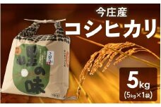 【先行予約】【令和7年産】朝夕の寒暖差が生む極旨のお米 今庄産 コシヒカリ 5kg 【11月より順次発送予定】 こしひかり 福井 北陸 おこめ
