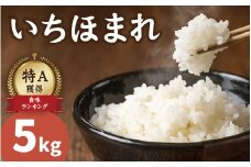 【先行予約】【令和7年産 新米】いちほまれ 5kg×1袋（計5kg）【2025年11月下旬より順次発送】福井 ブランド米 特A 令和七年 5キロ