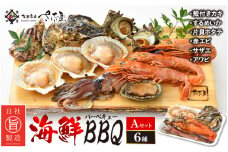 厳選！海鮮BBQ≪A≫セット（6種13品、3～4人用） 牡蠣 イカ ホタテ エビ サザエ  アワビ バーベキュー アウトドア 網焼き 冷凍便 お手軽 [e04-a069]