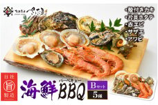 厳選！海鮮BBQ≪B≫セット（5種14品、3～4人用） エビ サザエ ホタテ 牡蠣 アワビ バーベキュー アウトドア 網焼き 冷凍便 [e04-a005]
