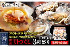 缶焼き 海鮮ガンガン焼きセット 国産貝3種盛(サザエ、カキ、ほたて)【バーベキュー BBQ アウトドア ホームパーティ 海鮮 食べ比べ お手軽 冷凍】 [e04-a018]