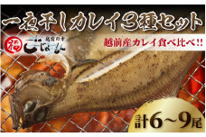 越前産 かれい 「一夜干しカレイ3種セット（合計6～9尾）」 [e15-a001]