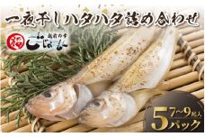 越前産 はたはた 「一夜干しハタハタ詰合わせ（7～9尾入り×5パック）」 [e15-a056]