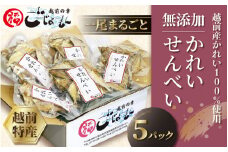 無添加 かれい煎餅 50g × 5パック【越前産カレイ100%使用】 [e15-a007]