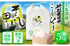 令和6年産 新米 特別栽培米 コシヒカリ 5kg 福井県産米（有機肥料100% 農薬7割減）【令和6年産 人気品種】 [e10-a014]