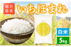 「福井県ブランド米」 特A通算6回獲得！お米 いちほまれ 5kg 令和6年 福井県産【白米】【お米 5キロ 精米 人気品種】 [e30-a085]