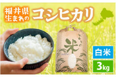 コシヒカリ 3kg 令和6年 福井県産【白米】【 お米 こめ 米 コメ 精米 こしひかり 3キロ 人気品種】 [e30-a077]