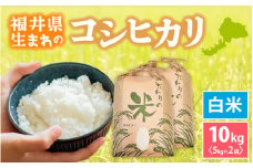 コシヒカリ 10kg 令和6年 福井県産【白米】【お米 こめ 米 コメ こしひかり 10キロ 精米 人気品種】 [e30-a081]